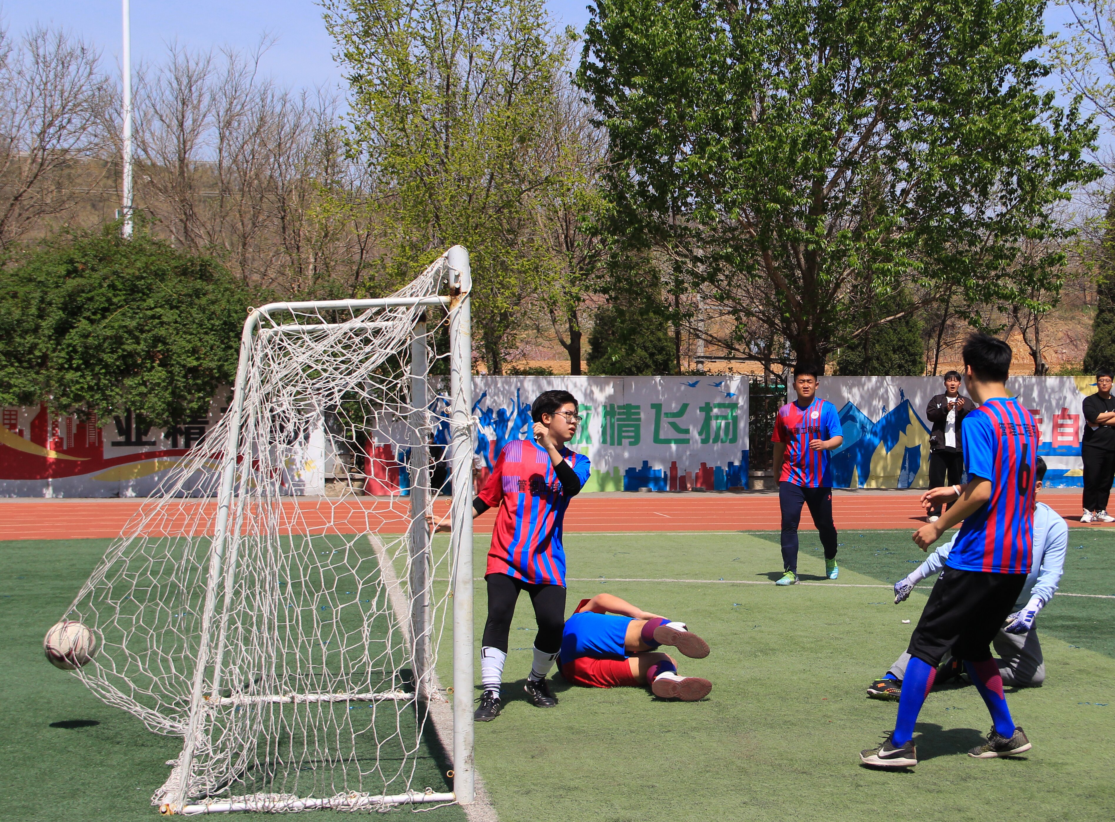 IMG_6359_proc